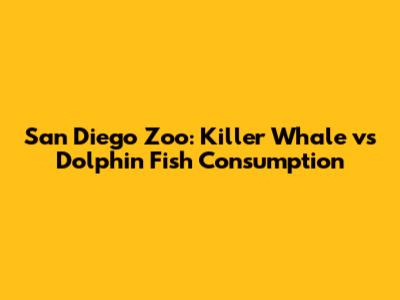 San Diego Zoo: Killer Whale vs Dolphin Fish Consumption
