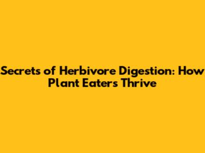 Secrets of Herbivore Digestion: How Plant Eaters Thrive