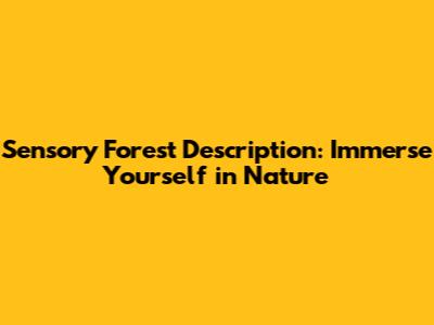 Sensory Forest Description: Immerse Yourself in Nature