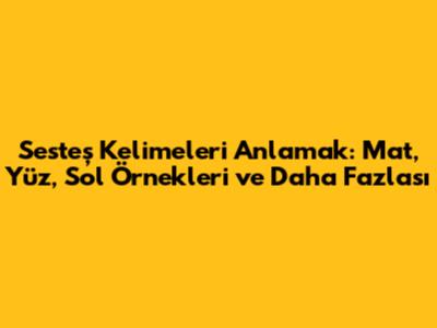 Sesteş Kelimeleri Anlamak: Mat, Yüz, Sol Örnekleri ve Daha Fazlası