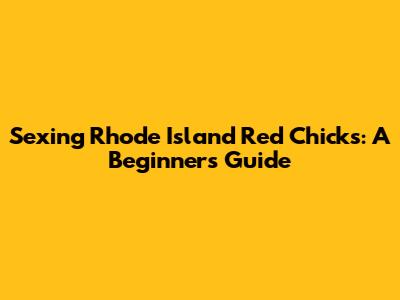Sexing Rhode Island Red Chicks: A Beginner's Guide