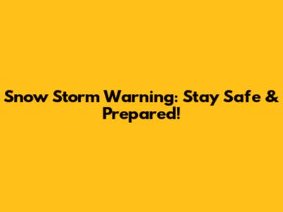 Snow Storm Warning: Stay Safe & Prepared!