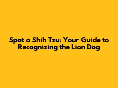 Spot a Shih Tzu: Your Guide to Recognizing the Lion Dog
