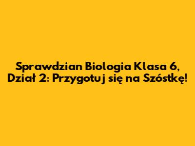 Sprawdzian Biologia Klasa 6, Dział 2: Przygotuj się na Szóstkę!