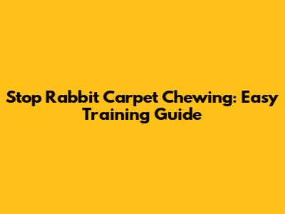 Stop Rabbit Carpet Chewing: Easy Training Guide