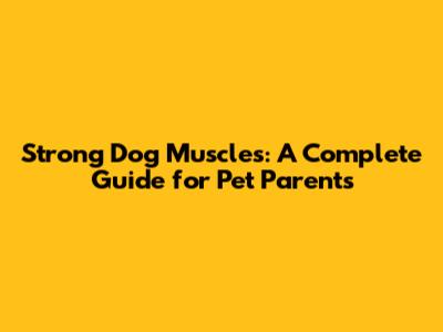 Strong Dog Muscles: A Complete Guide for Pet Parents