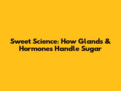 Sweet Science: How Glands & Hormones Handle Sugar