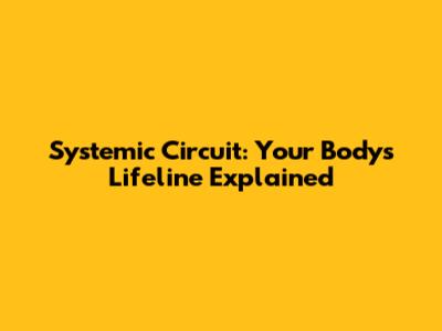 Systemic Circuit: Your Body's Lifeline Explained