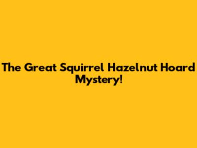 The Great Squirrel Hazelnut Hoard Mystery!