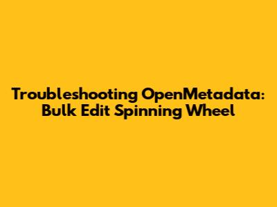 Troubleshooting OpenMetadata: Bulk Edit Spinning Wheel