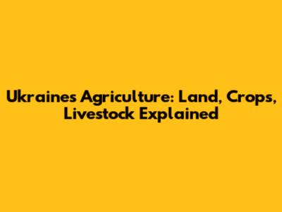 Ukraine's Agriculture: Land, Crops, Livestock Explained