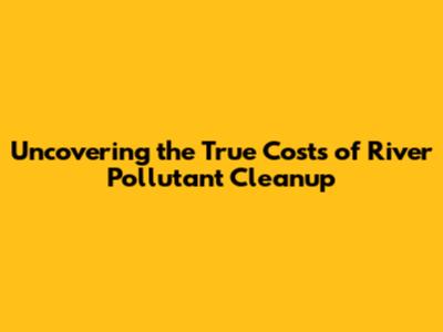 Uncovering the True Costs of River Pollutant Cleanup