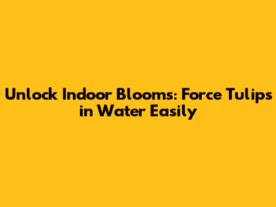 Unlock Indoor Blooms: Force Tulips in Water Easily