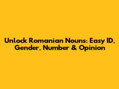 Unlock Romanian Nouns: Easy ID, Gender, Number & Opinion