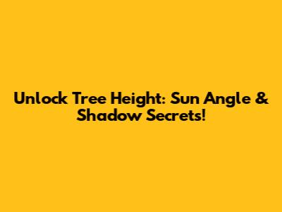 Unlock Tree Height: Sun Angle & Shadow Secrets!
