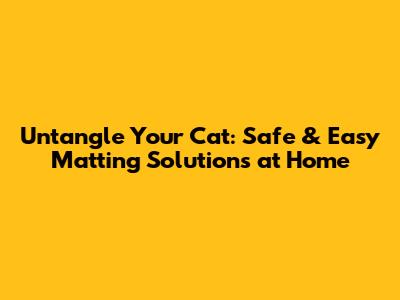 Untangle Your Cat: Safe & Easy Matting Solutions at Home