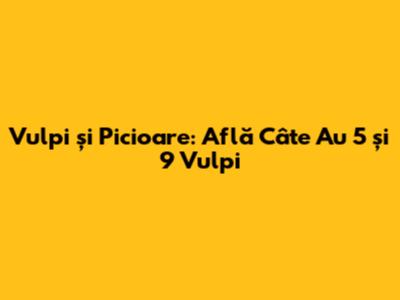 Vulpi și Picioare: Află Câte Au 5 și 9 Vulpi