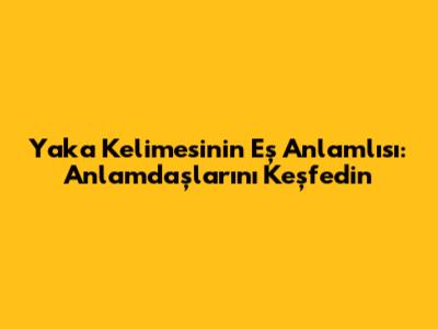 Yaka Kelimesinin Eş Anlamlısı: Anlamdaşlarını Keşfedin