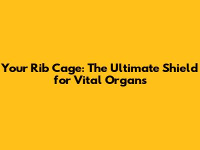 Your Rib Cage: The Ultimate Shield for Vital Organs
